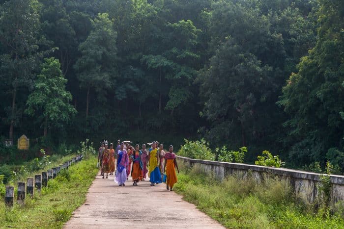 नया संकट: वन संरक्षण नियमों पर सरकार के नये बदलाव आदिवासियों के अधिकारों की अनदेखी करते हैं। फोटो – pixabay