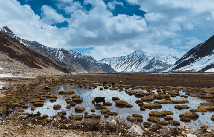 Photo: Klara Avsenik on Unsplash