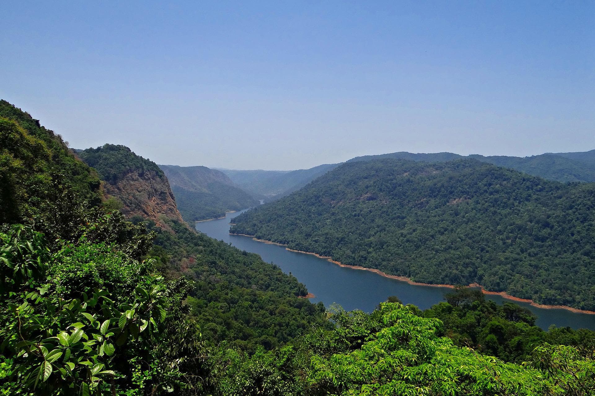 [विश्लेषण] अंधाधुंध हो रही जंगलों की कटाई लेकिन इसकी वित्तीय कीमत बढ़ाने को लेकर परहेज