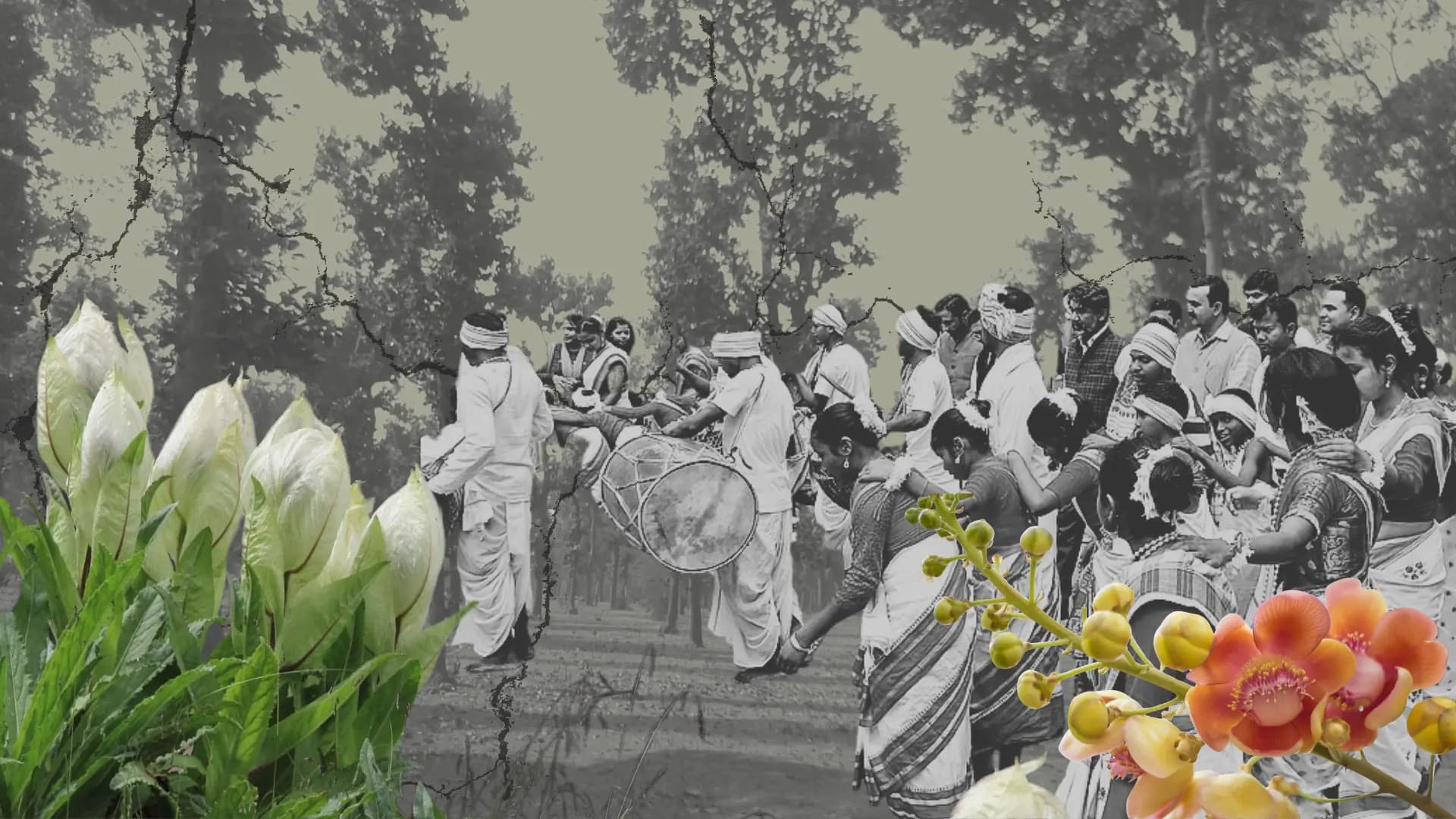 भारत की जैव-सांस्कृतिक विरासत को क्षति पहुंचा रहा है जलवायु परिवर्तन