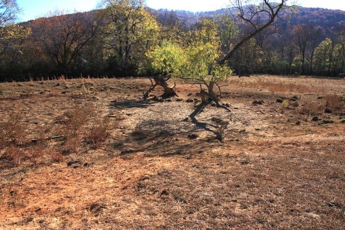 भारत में करीब 30 प्रतिशत हिस्से में सूखे के हालात हैं।