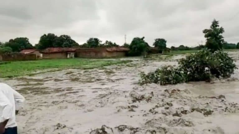 बर्बादी की भरपाई: सीपीसीबी और आईआईटी के विशेषज्ञ पैनल ने सिंगरौली में एनटीपीसी और एस्सार पावर कंपनियों प्रदूषित राख फैलाने के लिये कुल 100 करोड़ से अधिक जुर्माने की सिफारिश की है। Photo: Iamrenew.com