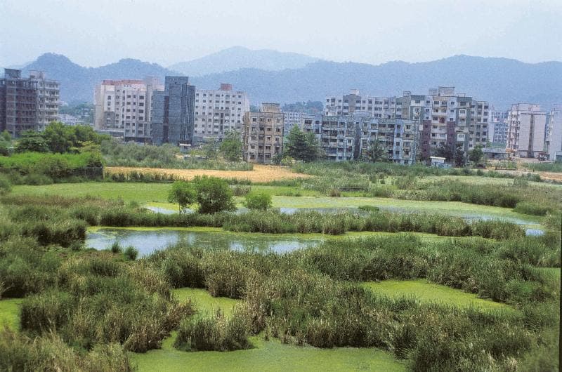 चुपके-चुपके: ‘विकास’ के नाम पर पर्यावरण नियमों में प्रस्तावित ढील के कारण सरकार आलोचना के घेरे में है। फोटो- डीएनए इंडिया
