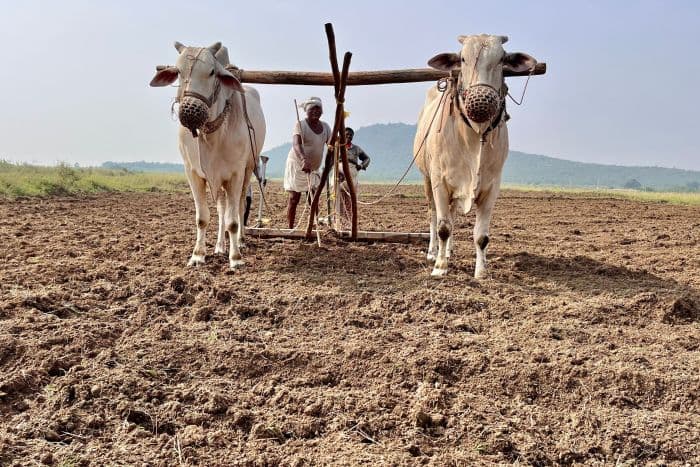 महाराष्ट्र सरकार ने राज्य के 75% हिस्से में सूखा घोषित किया, राहत उपायों का ऐलान