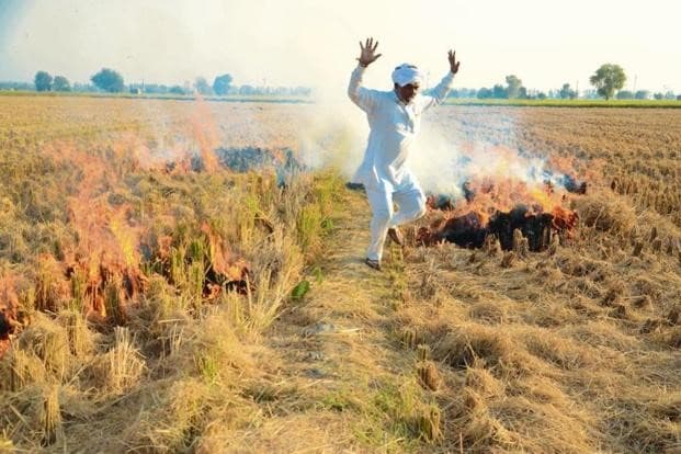बुरे दिन आने वाले हैं: दिल्ली के आसपास के राज्यों में  किसानों ने पाबंदी के बावजूद खुंटी जलाना शुरू कर दिया है। जाड़ों की आमद से पहले ही प्रदूषण का स्तर बढ़ना शुरू हो गया है। फोटो: Livemint