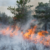 उत्तराखंड: जंगल की आग में 4 की मौत के बाद दो वनाधिकारी निलंबित