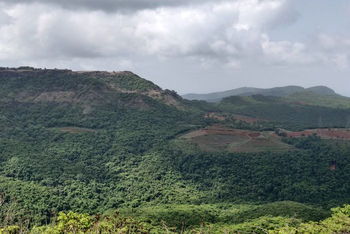 पश्चिमी घाटों का 56,000 वर्ग किमी इलाका इकोलॉजिकल रूप से संवेदनशील घोषित